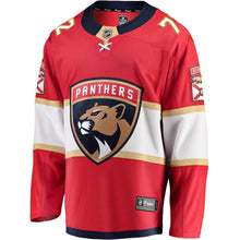 Load image into Gallery viewer, Frank Vatrano Florida Panthers Player Swingman Jersey