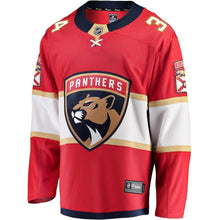 Load image into Gallery viewer, James Reimer Florida Panthers Player Swingman Jersey