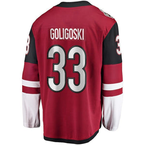 Alex Goligoski Arizona Coyotes Player Swingman Jersey